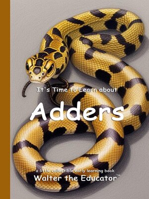cover image of It's Time to Learn about Adders